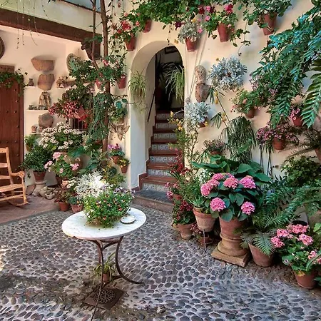 Apartment Aljara
